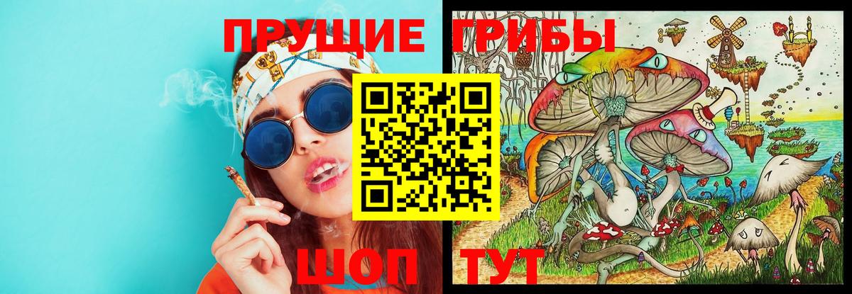 Артём  Псилоцибиновые грибы ЛСД  Вход с VPN  Галлюциногенные грибы Magic Shrooms 